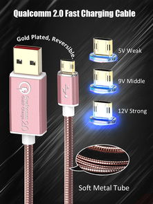 引領(lǐng)科技潮流，專業(yè)計算機(jī)軟硬件技術(shù)開發(fā)解決方案